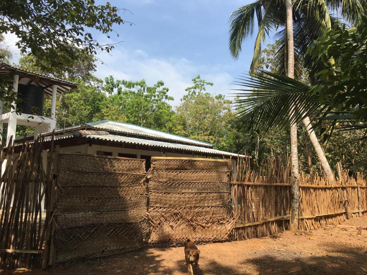 Cashew Villa Hiriketiya ดิคเวลลา ภายนอก รูปภาพ