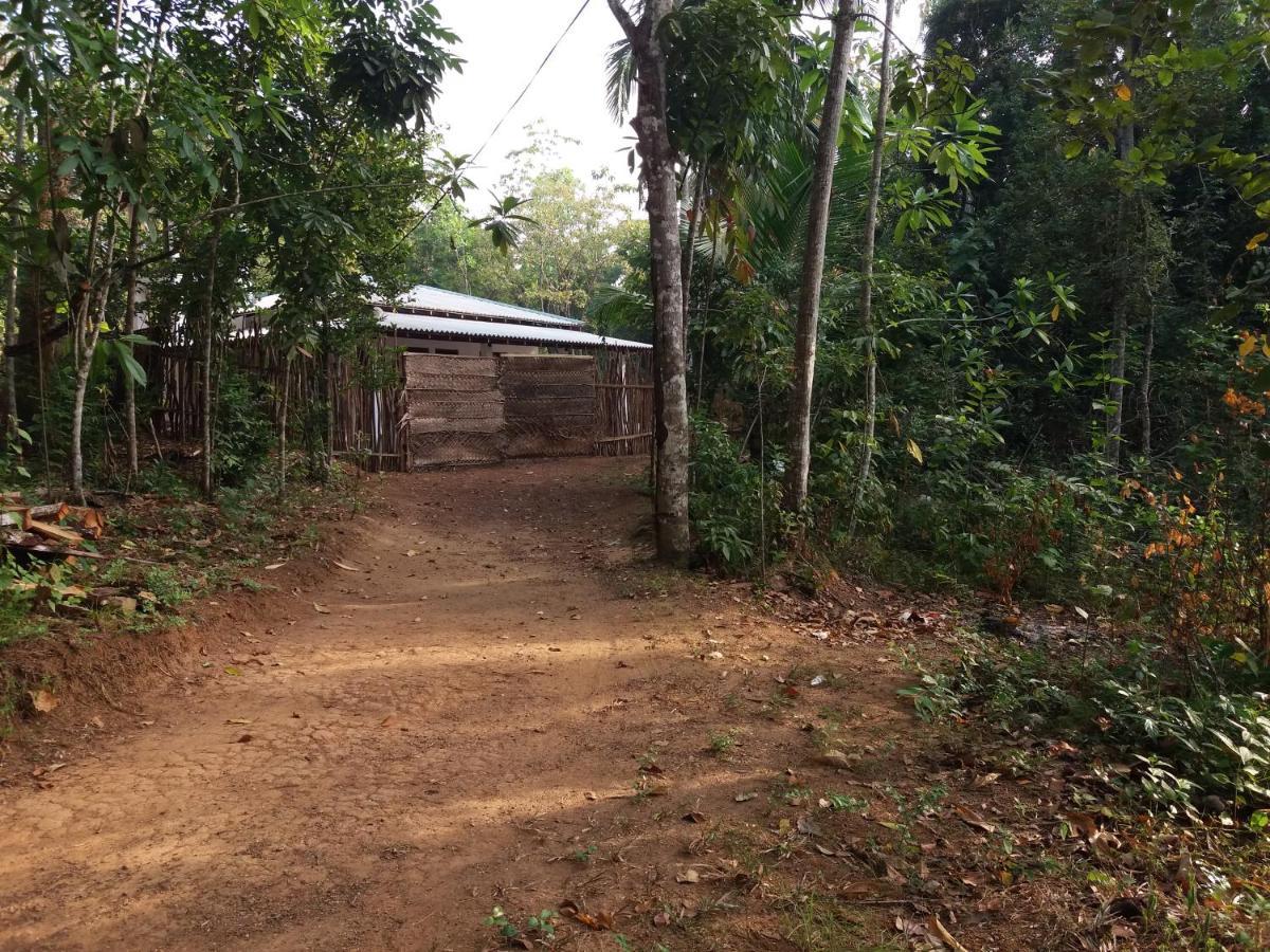 Cashew Villa Hiriketiya ดิคเวลลา ภายนอก รูปภาพ