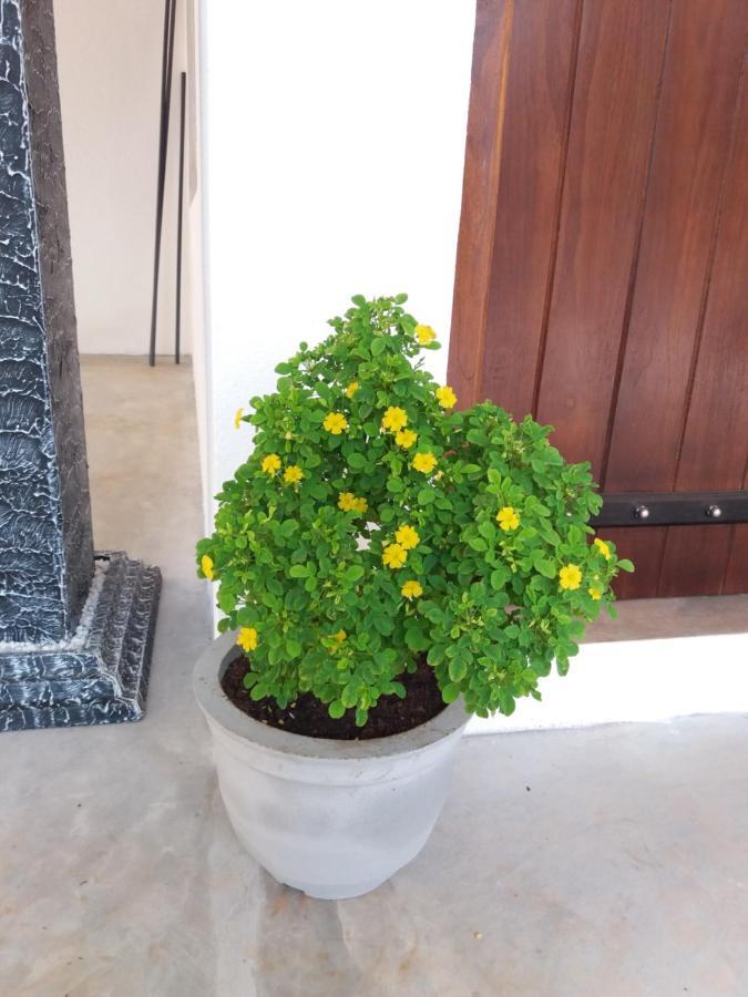 Cashew Villa Hiriketiya ดิคเวลลา ภายนอก รูปภาพ