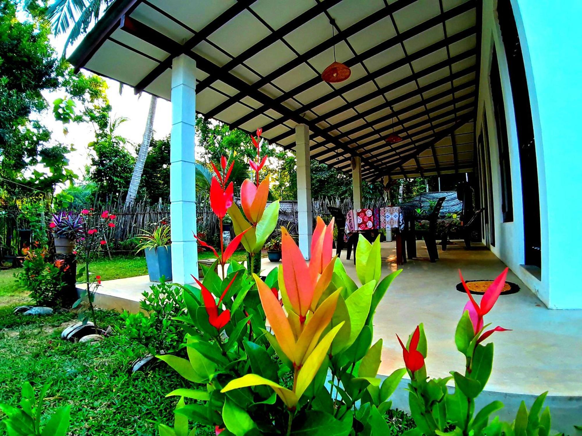 Cashew Villa Hiriketiya ดิคเวลลา ภายนอก รูปภาพ
