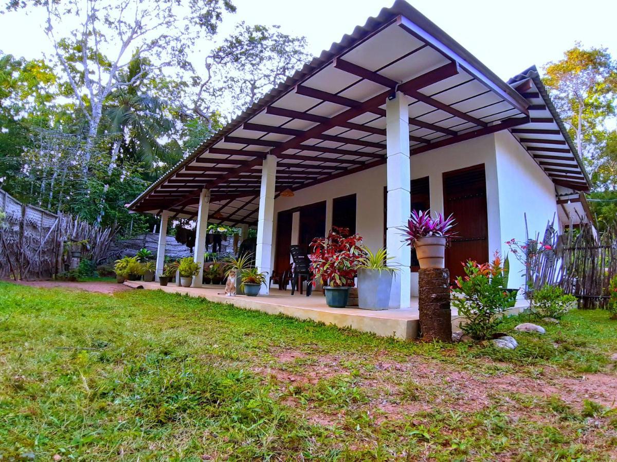 Cashew Villa Hiriketiya ดิคเวลลา ภายนอก รูปภาพ