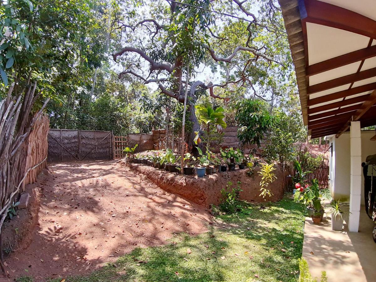 Cashew Villa Hiriketiya ดิคเวลลา ภายนอก รูปภาพ