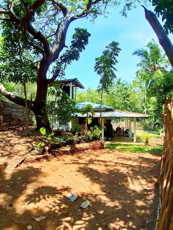 Cashew Villa Hiriketiya ดิคเวลลา ภายนอก รูปภาพ